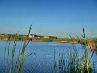 Великі Дмитровичі з panoramio.com