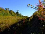 Кровинка з panoramio.com