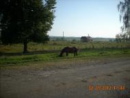 Монастирець з panoramio.com