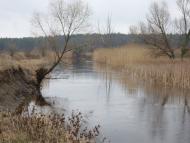 Дмитрівка - Останні фото