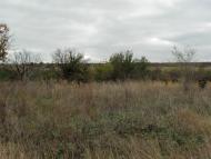 Старозаводське з panoramio.com