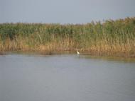 Леськи з panoramio.com