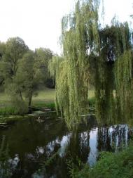 Першотравенськ з panoramio.com