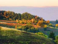 Рожаївка з panoramio.com