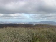 Земляничне з panoramio.com