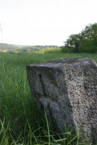 Трощин з panoramio.com