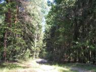 Грем'яче з panoramio.com