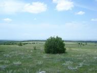 Міжгір'я з panoramio.com