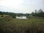 Серебринці з panoramio.com