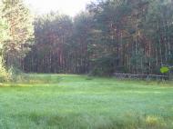 Грем'яче з panoramio.com