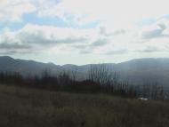 Земляничне з panoramio.com