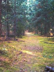 Гайове з panoramio.com