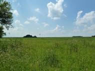 Кураж з panoramio.com