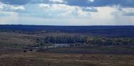 Миколаївка Перша з panoramio.com