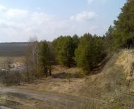 Гамаліївка з panoramio.com