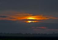 Новопілля з panoramio.com