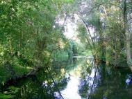 Залізний Міст з panoramio.com