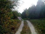 Вересівка з panoramio.com