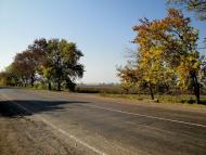 Мар'янське з panoramio.com