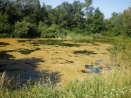 Княже з panoramio.com