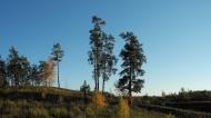 Плюти з panoramio.com - Плюты
