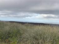 Земляничне з panoramio.com