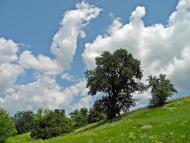 Центральне з panoramio.com