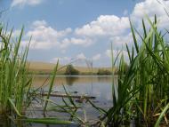 Домаморич з panoramio.com