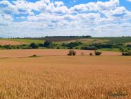 Кам'янка-Дніпровська з panoramio.com
