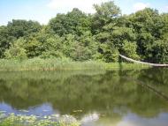 Дворічне з panoramio.com