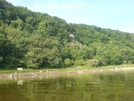 Рашків з panoramio.com