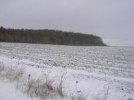 Чижівка з panoramio.com