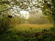 Волиця з panoramio.com