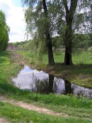 Нові Безрадичі з panoramio.com