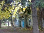 Центральне з panoramio.com