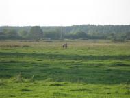 П'ятидні з panoramio.com