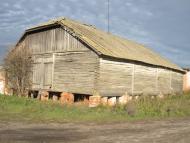 Черниш - Останні фото