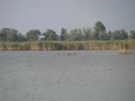 Леськи з panoramio.com