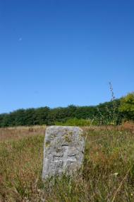 Трощин з panoramio.com