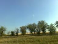 Широке з panoramio.com