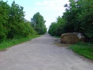 Скородистик - Останні фото