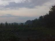 Теліжинці з panoramio.com