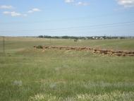 Жайворонки з panoramio.com