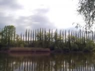 Веселівка з panoramio.com