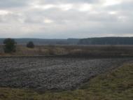 Великі Мости з panoramio.com