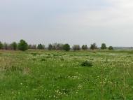 Маївка з panoramio.com