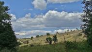 Зуївка з panoramio.com - Зуевка