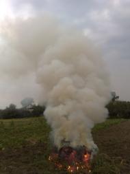 Теліжинці з panoramio.com