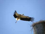 Нижні Торгаї - Останні фото