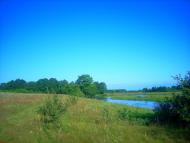 Несолонь з panoramio.com